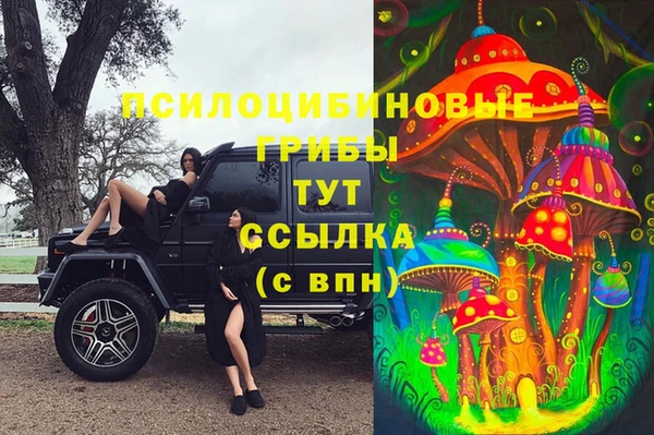 стаф Абдулино