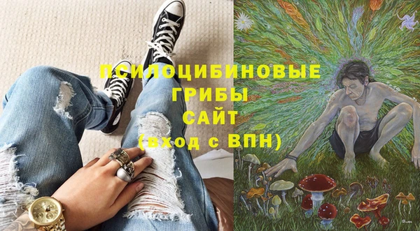 стаф Абдулино